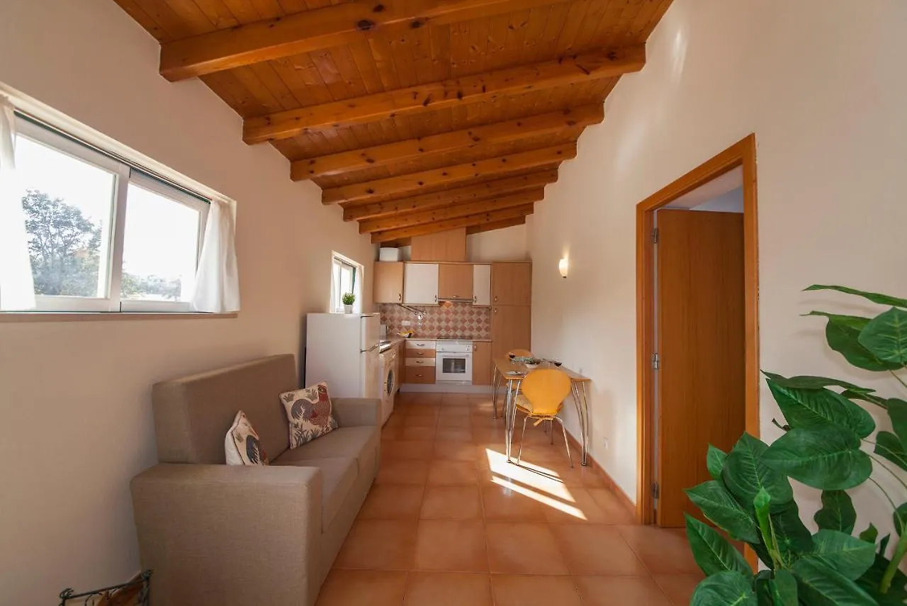 A14 - Cozy Torraltinha Apartment Lagos